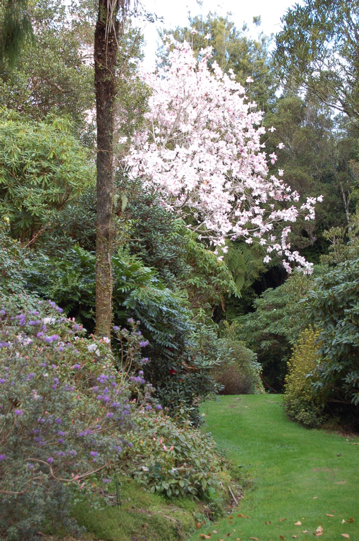 Picture from the garden