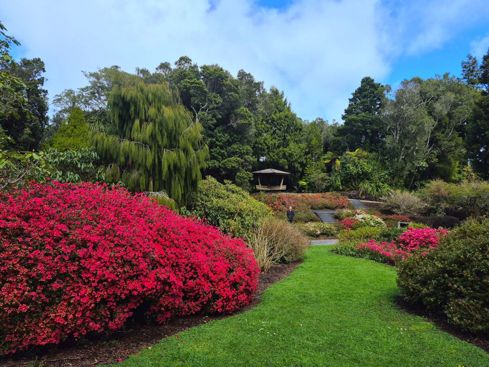 Picture from the garden